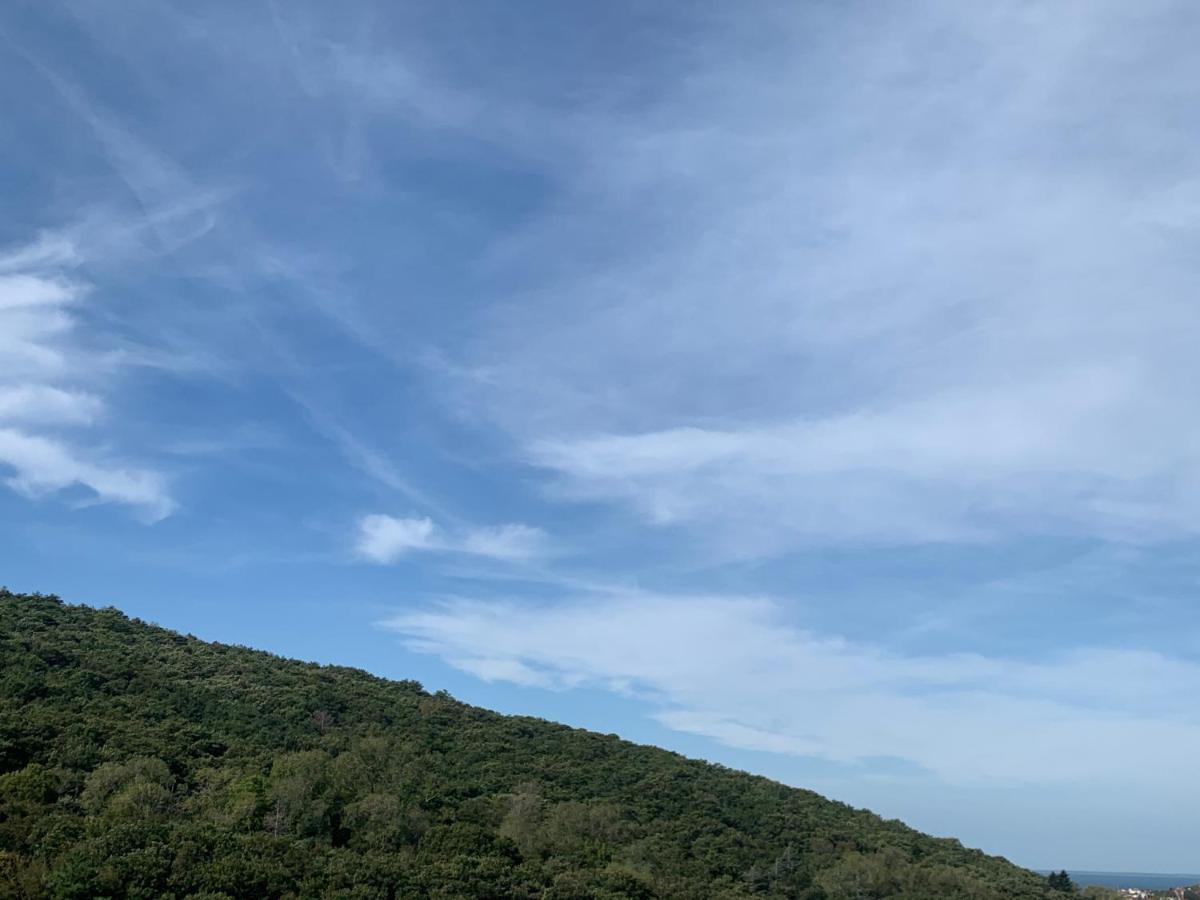 Al Bosco Incantato Trieste Ngoại thất bức ảnh