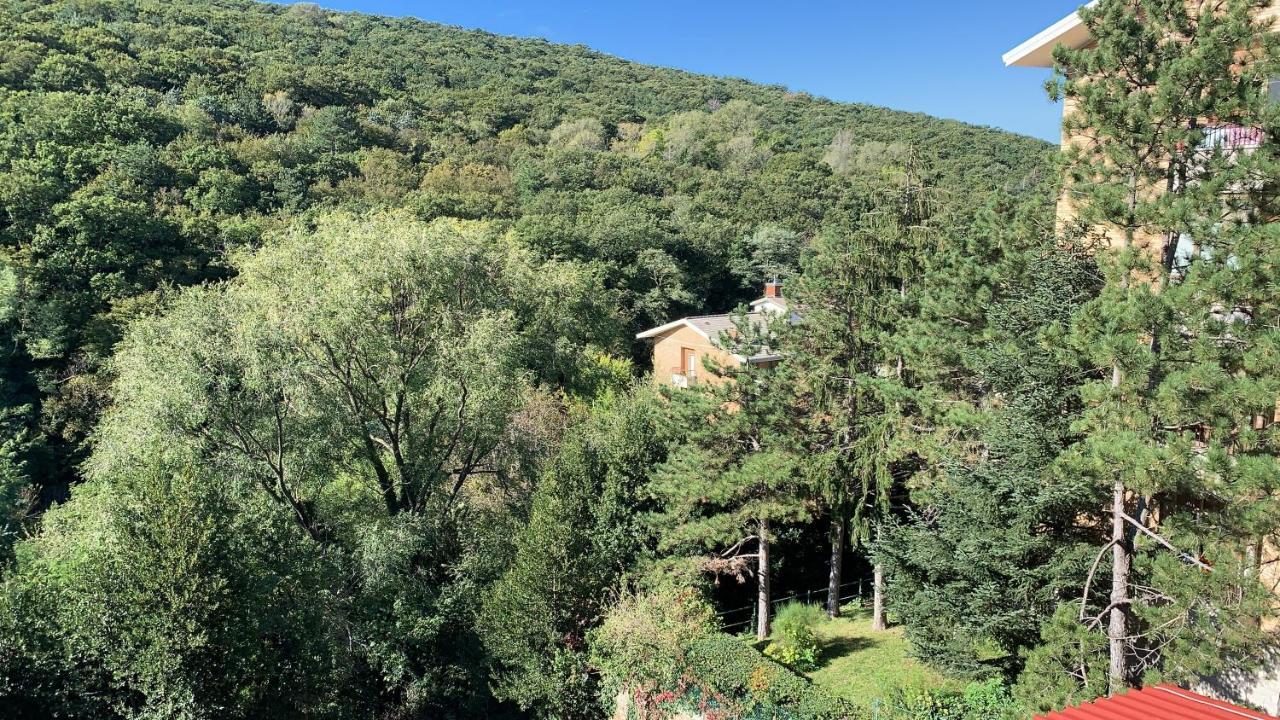 Al Bosco Incantato Trieste Ngoại thất bức ảnh
